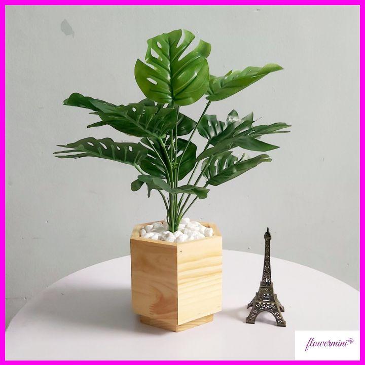 Chậu cây lá rùa giả 45cm để bàn trang trí xanh mát kèm chậu gỗ lục giác độc đáo Flowermini CGR-01