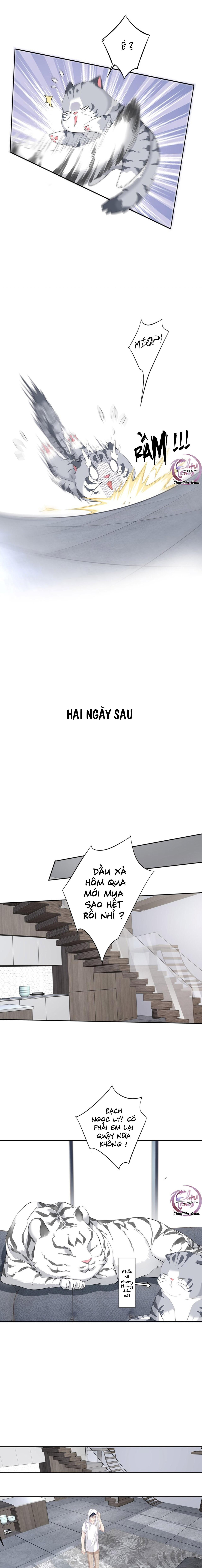 cuộc mai mối vượt giống loài chapter 35 8