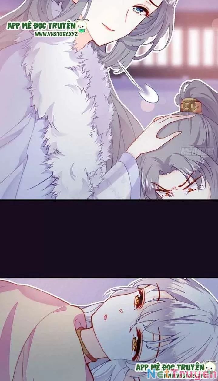 lại bị bệnh chiều chuộng quấn lấy chapter 15 20