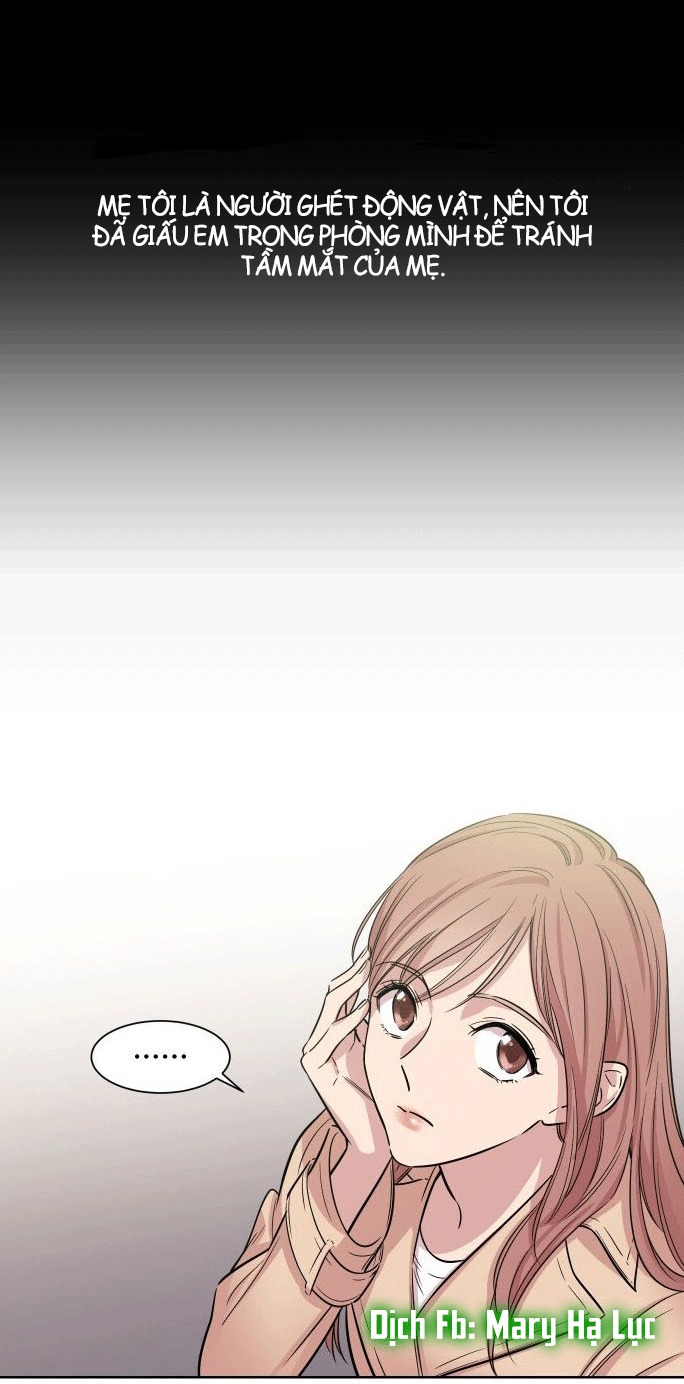 clouds in the night sky chapter 6 5