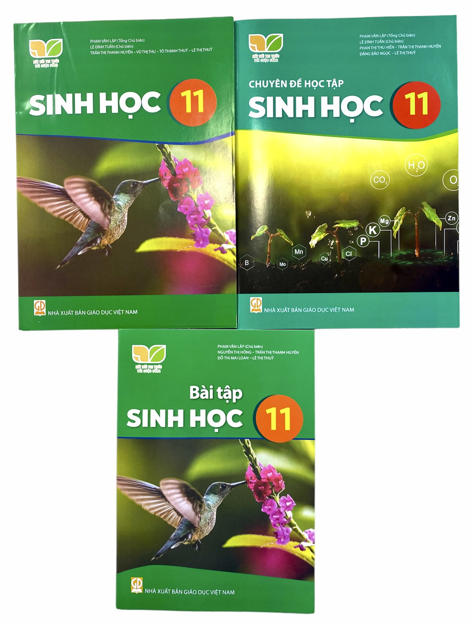 Combo 3 cuốn Sinh học lớp 11
