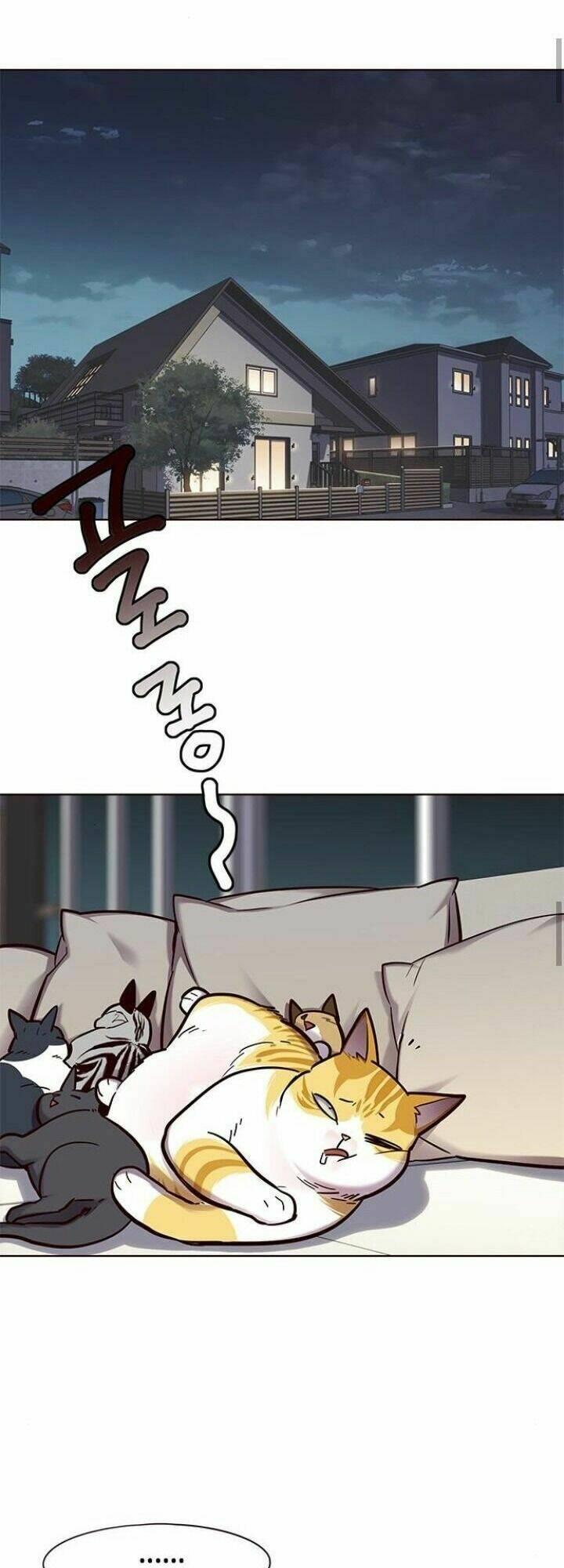 biến thân thành mèo chapter 125 60