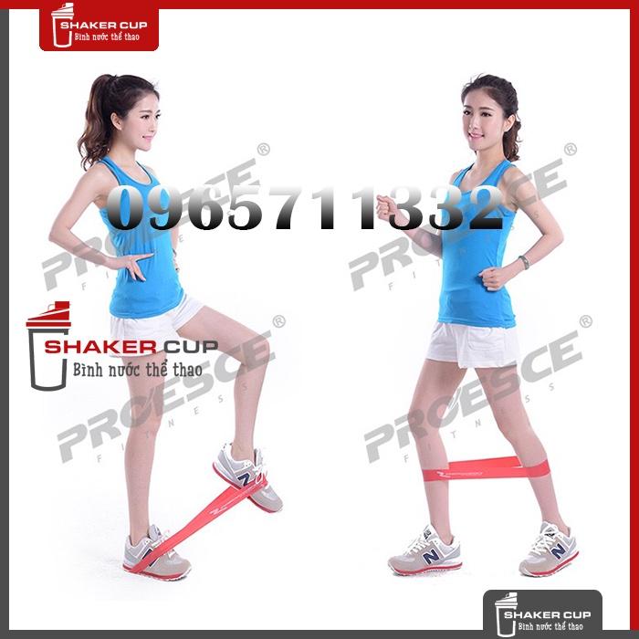 Dây Mini Band Proesce Fitness, Dây Kháng Lực Tập Mông Đùi