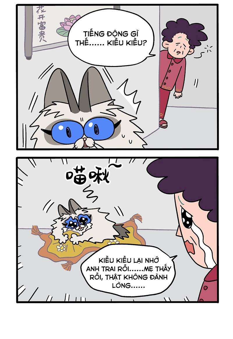 a mãn và mạch trà chapter 20 5