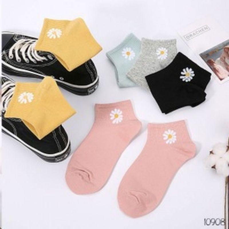 TÚI 10 ĐÔI VỚ TẤT HOA CÚC