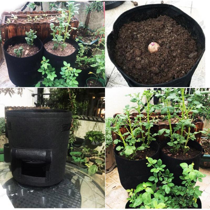 Túi vải trồng khoai tây, khoai lang, cà rốt chuyên dụng kích thước 30x35 cm