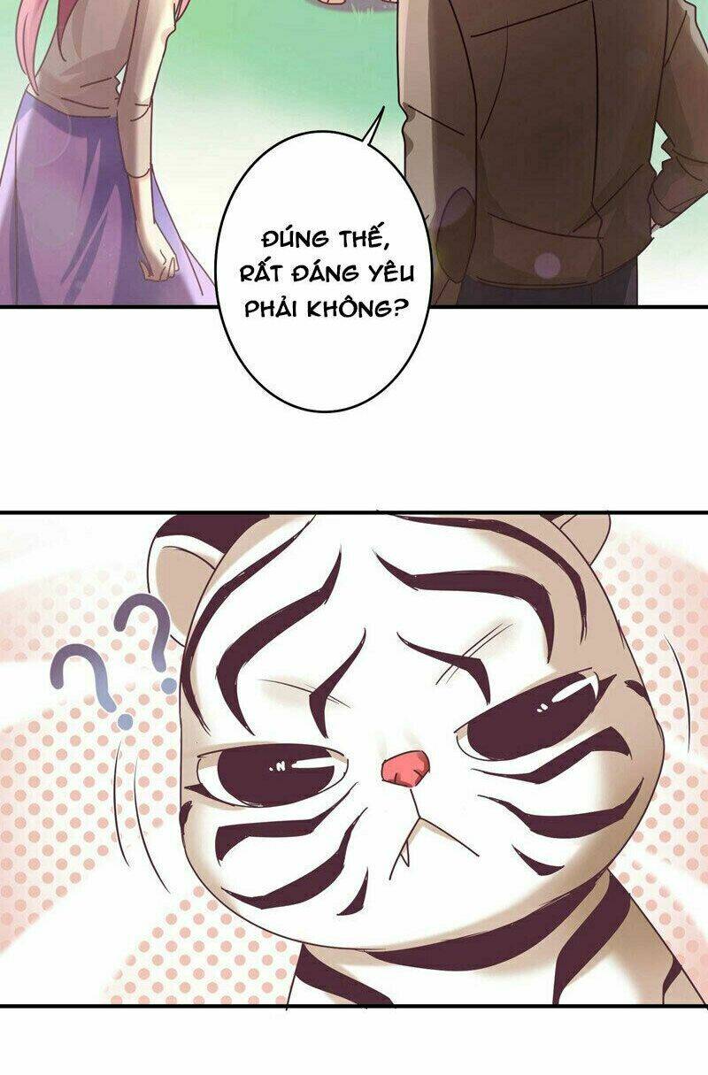 cuồng duệ tiểu thê chapter 62 6