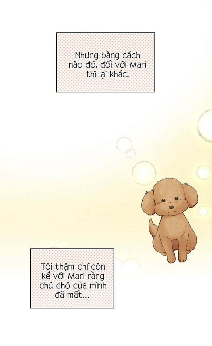 honey! honey! marry me! chapter 76 6