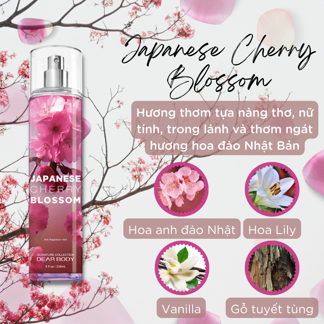 Xịt Thơm Toàn Thân DEAR BODY 236ml Dành Cho Nữ - Body Mist Dear Body - Hương Thơm Đa Dạng - Hấp Dẫn - Quyến Rũ - Lưu Hương 8h