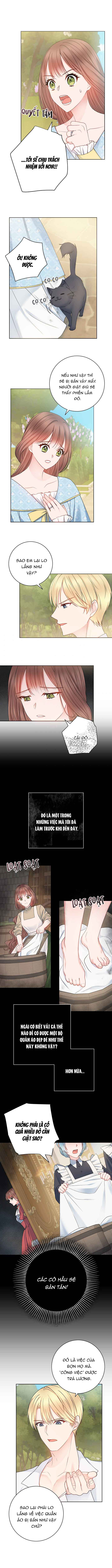 người chồng hợp đồng của tôi chapter 11 6