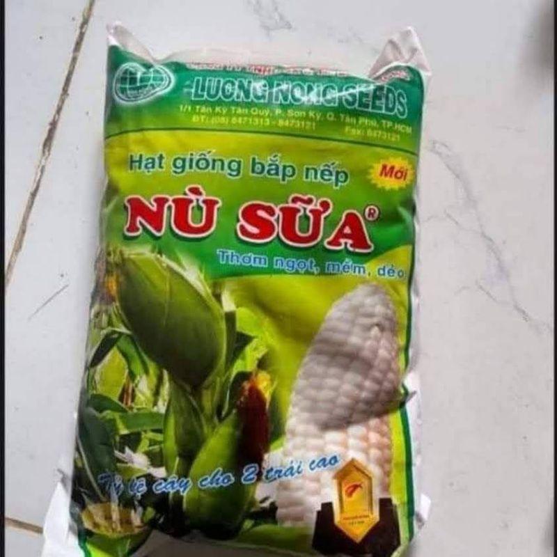 Hạt giống bắp nù sữa