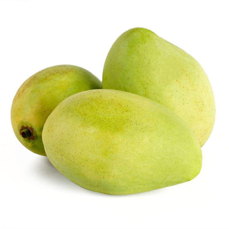 Xoài cát chu 950g-1kg trái từ 300g trở lên-2275910000008