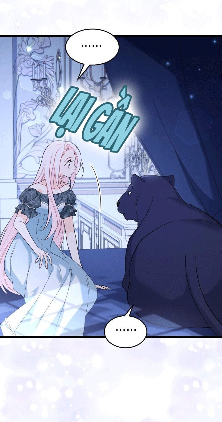 mối liên kết giữa báo đen và bé thỏ chapter 92 16