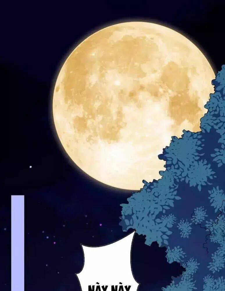 đô thị hộ hoa tiên tôn chapter 31 48