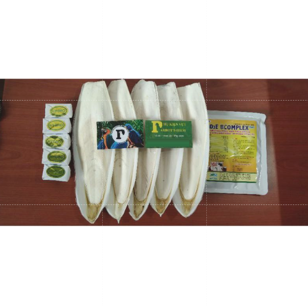 COMBO 5NAN MỰC 18-22CM + 5 KHOÁNG TONIC + 1 GÓI ADB3E 100g
