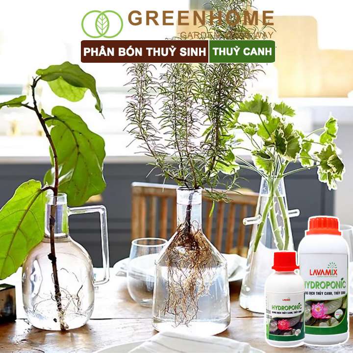 Dung dịch thủy canh Lavamix, chuyên trồng hoa sen, cây trong nước, an toàn cho cá |Greenhome