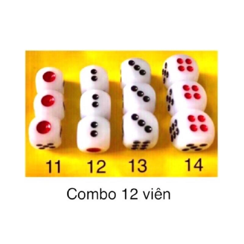 Xí ngầu 6 viên -12ly+13ly