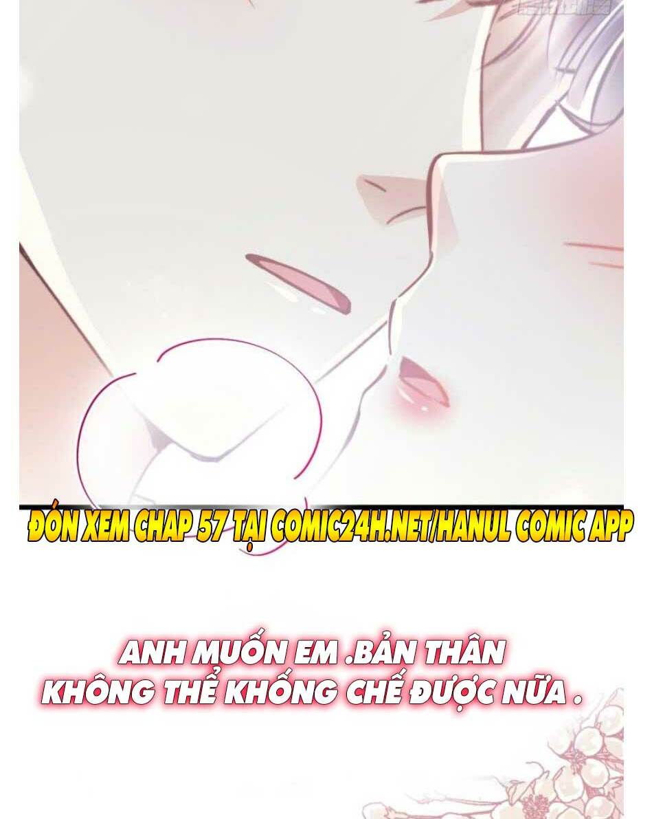 bá đạo tổng tài nhẹ nhàng yêu chapter 56.2 25