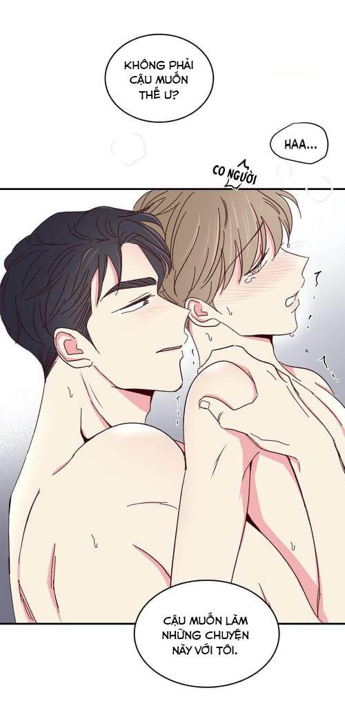 món tráng miệng của sếp tổng chapter 47 42