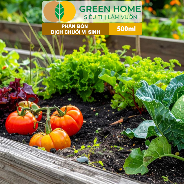 Dịch Chuối Vi Sinh HK GreenHome, Chai 500ml, Vàng Cơm, Tạo Ngọt, Ra Hoa, Bóng Trái, Đậu Trái Mạnh