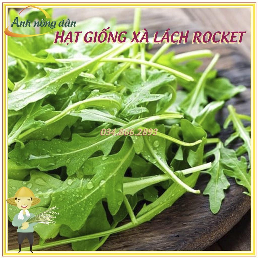 Gói 2gr Hạt giống rau xà lách rocket, rau arugula F1 cao sản chất lượng cao