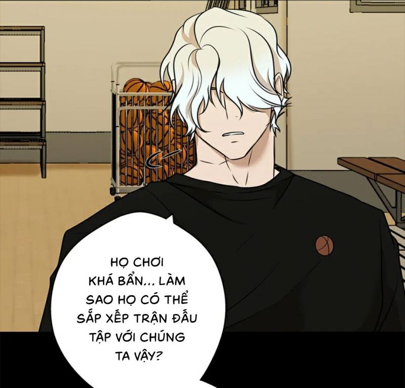yêu phải kẻ sát nhân bóng rổ chapter 20 104