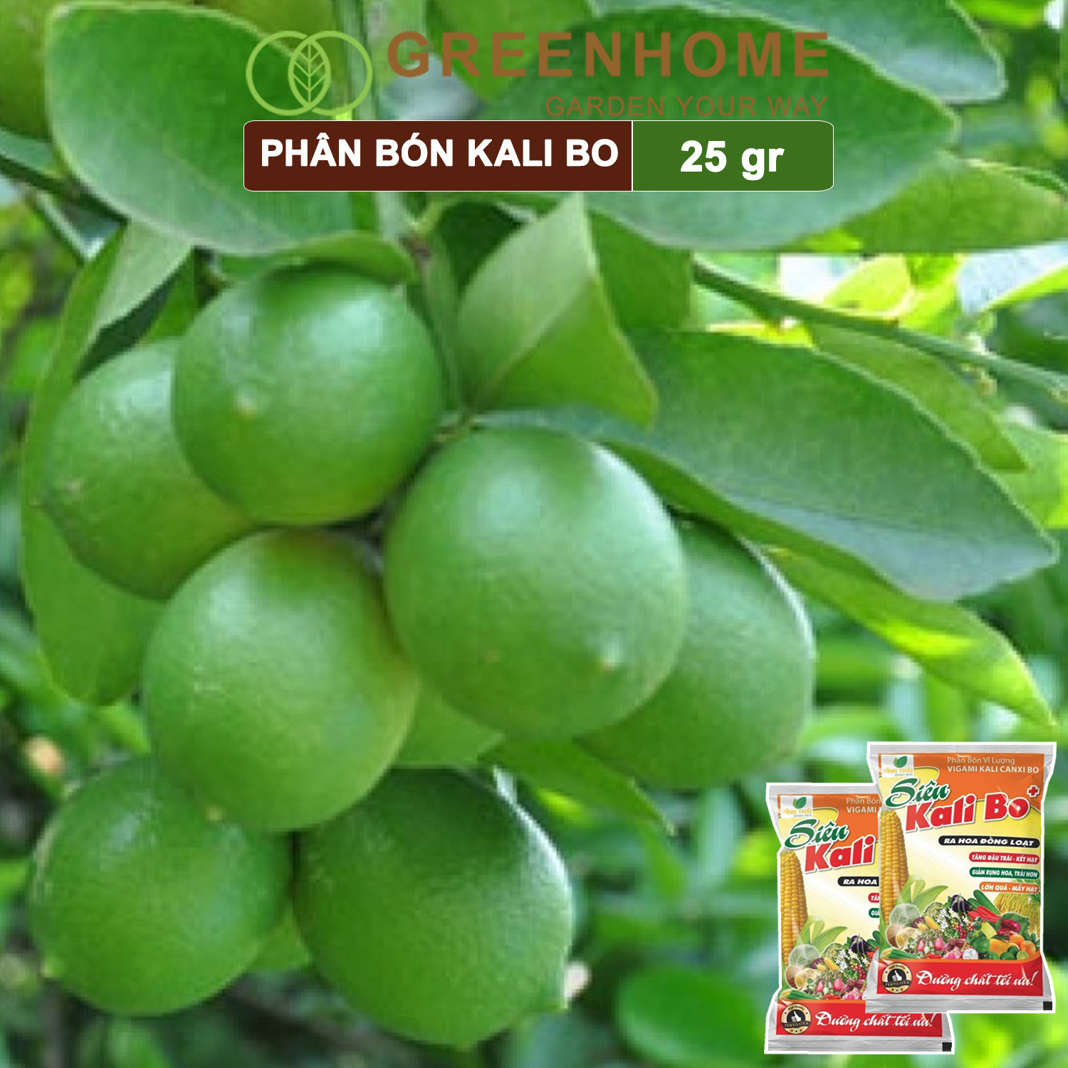 Phân bón Kali bo, gói 25g, kích thích ra hoa, quả to, chắc ruột, tăng độ ngọt | Greenhome