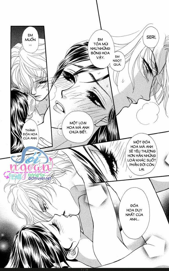 đóa hồng dành tặng seri chapter 8 7