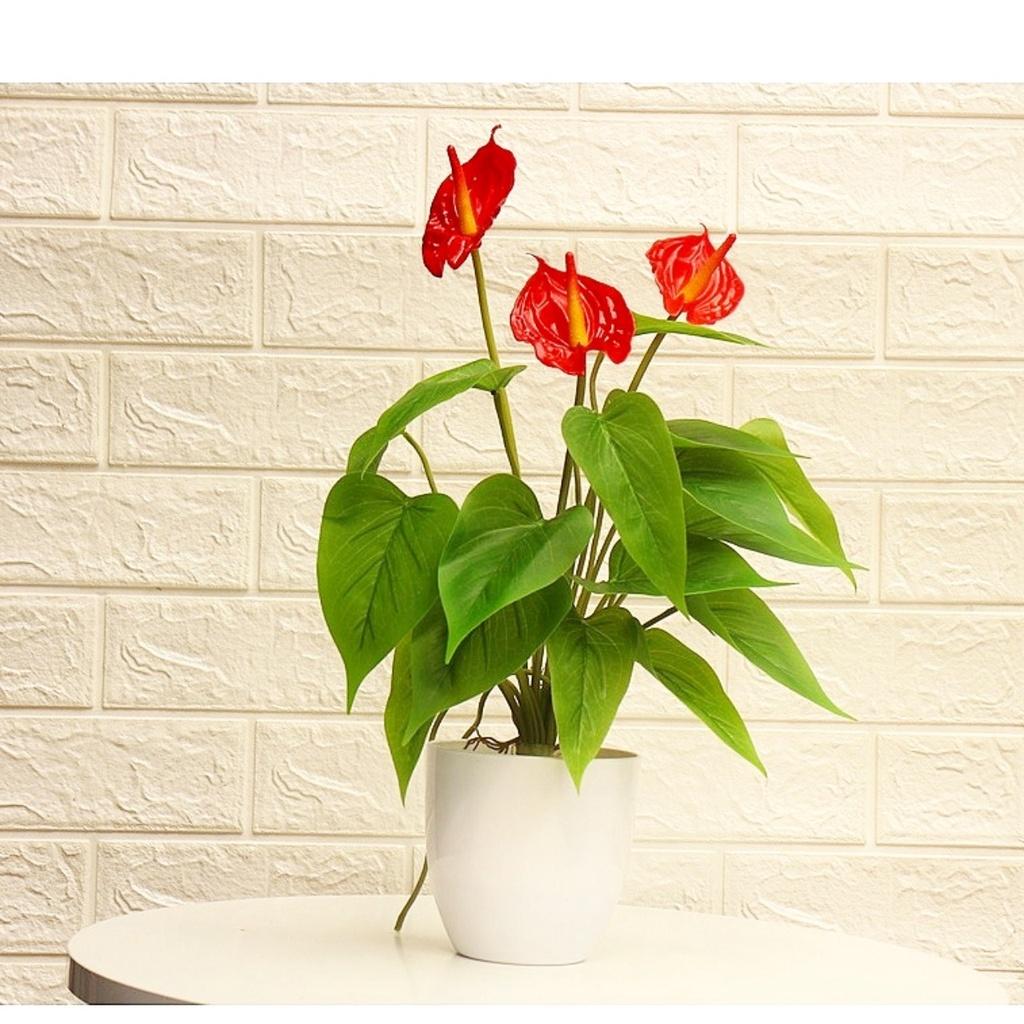 Chậu cây nhỏ trang trí nhà cửa, để tủ, cửa hàng, quán... Cây giả kèm chậu
