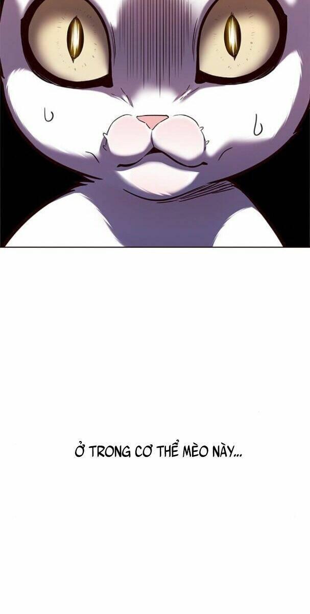 biến thân thành mèo chapter 174 53