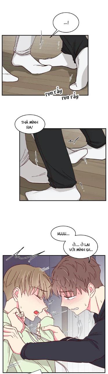 món tráng miệng của sếp tổng chapter 55 19