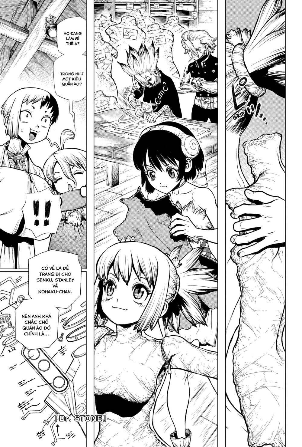 dr.stone - hồi sinh thế giới chapter 222 2
