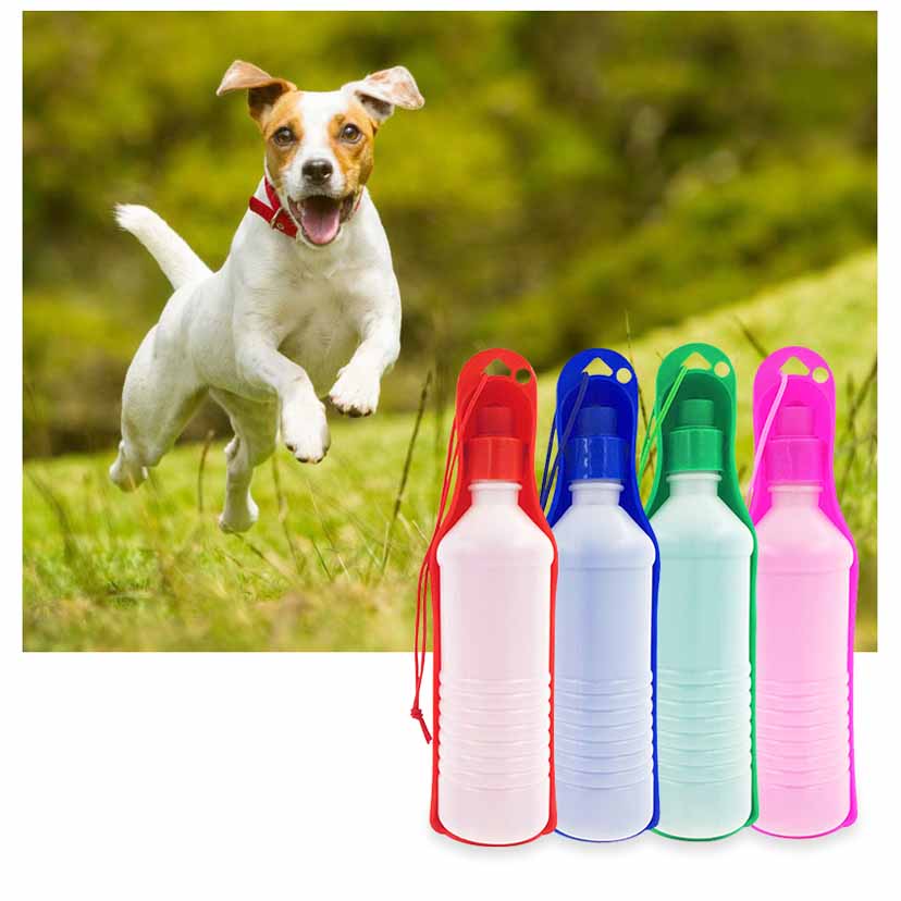 Bình nước cầm tay cho thú cưng - GENYO water bottle 002 ( màu giao ngẫu nhiên )