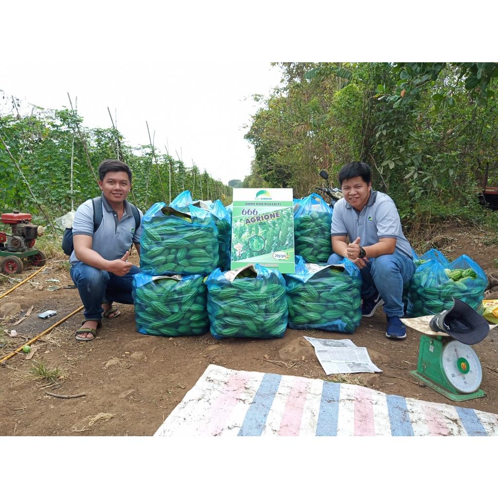 Hạt Giống khổ qua lai F1 - Agrione 666