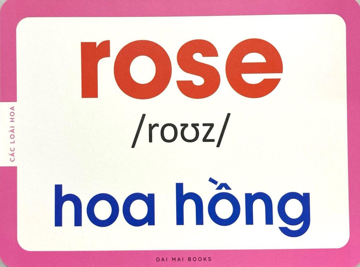 Sách - Flash Card - Thẻ Học Thông Minh Theo Phương Pháp Giáo Dục Sớm Glenn Doman - Các Loài Hoa Và Trái Cây - Flowers And Fruits