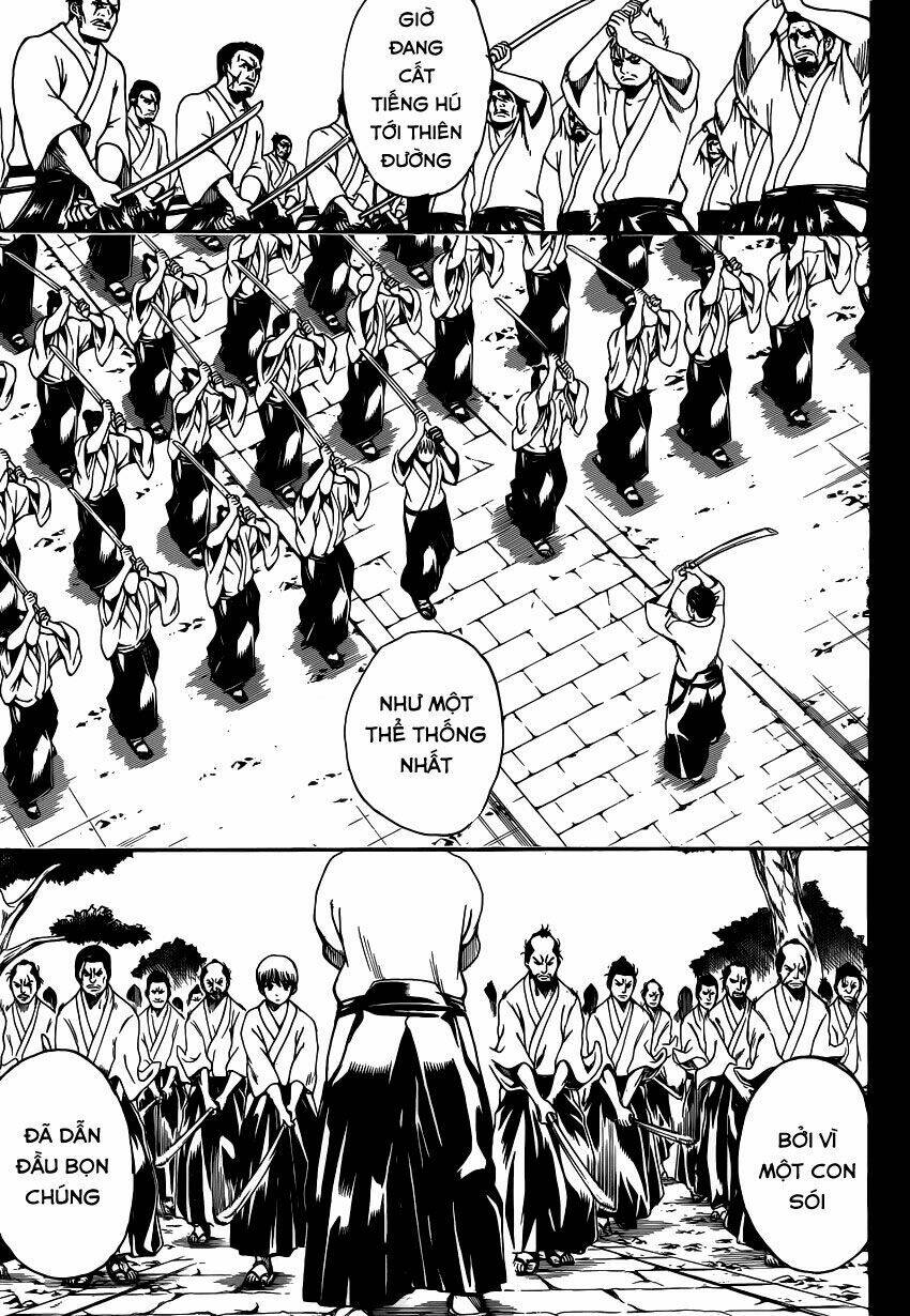gintama - linh hồn bạc chapter 537 5