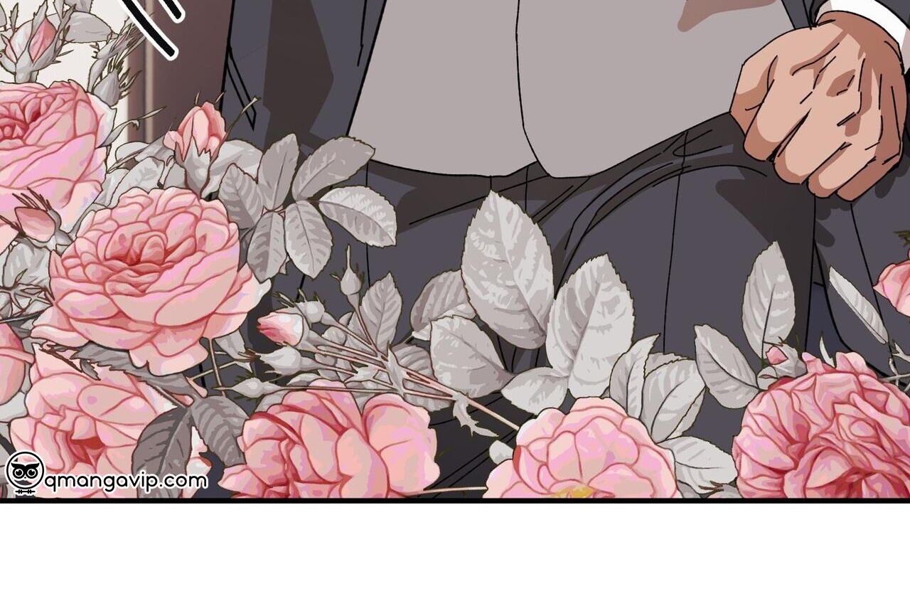 chàng dâu nhà họ kang chapter 43 91