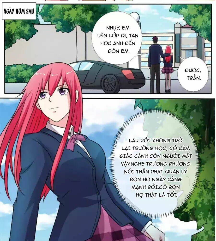 bạn trai hắc đạo của tôi chapter 278 7