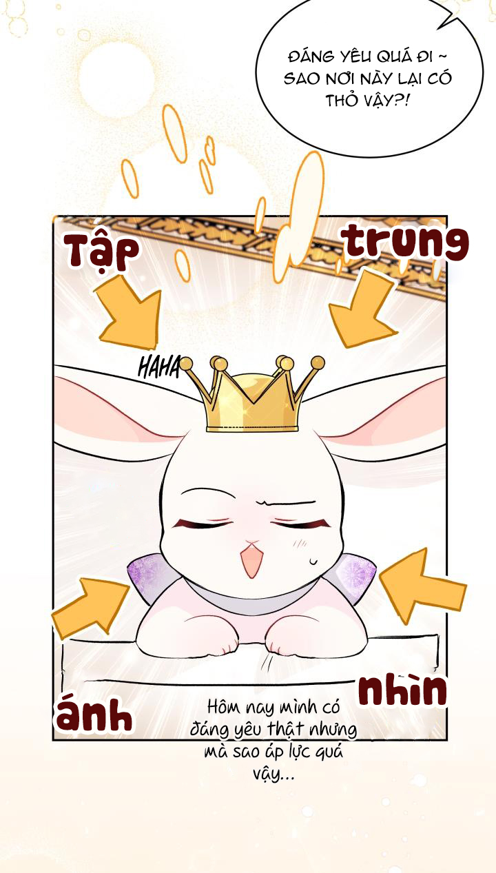 mối liên kết giữa báo đen và bé thỏ chapter 18 5