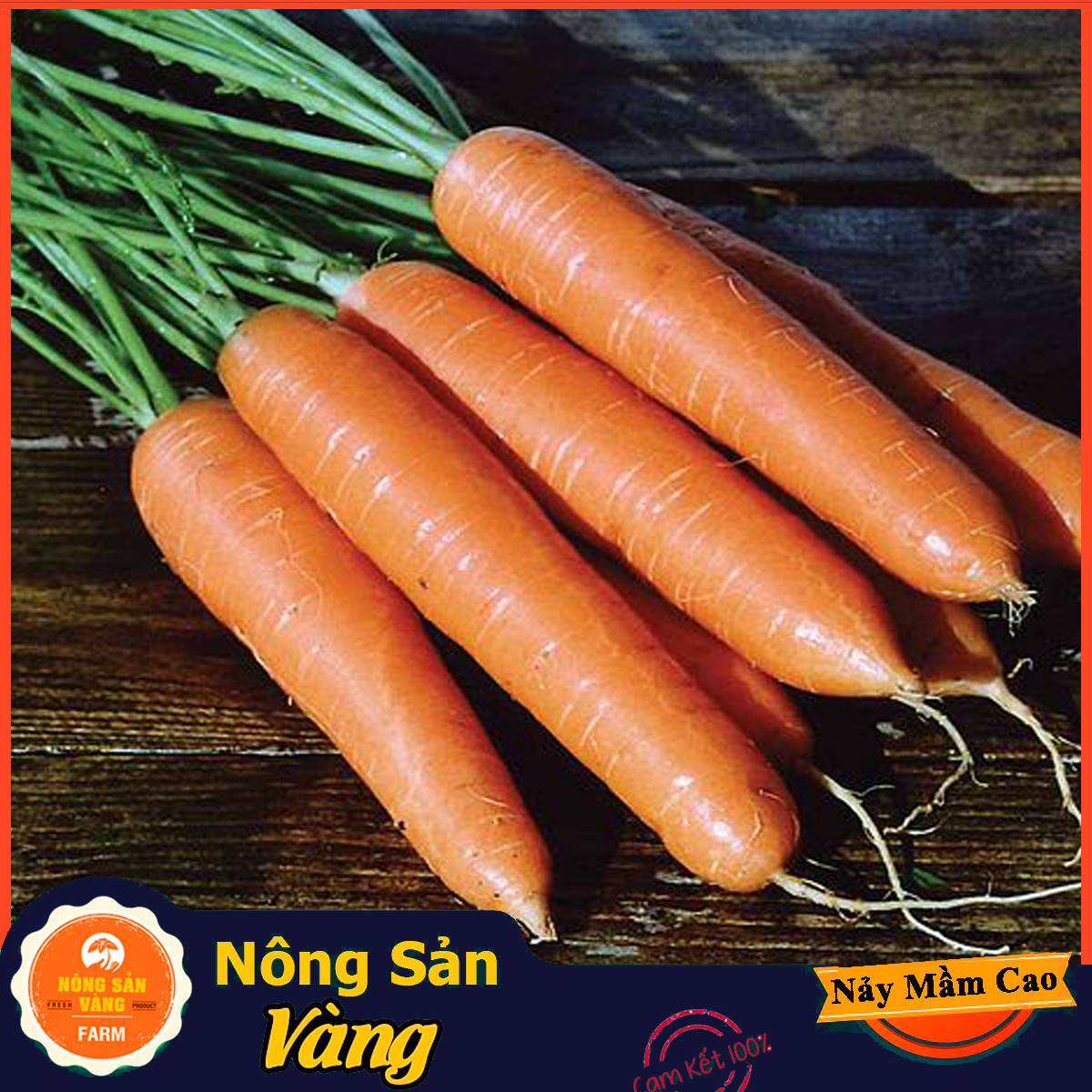 Hạt giống Cà Rốt Thường F1 - Nông Sản Vàng