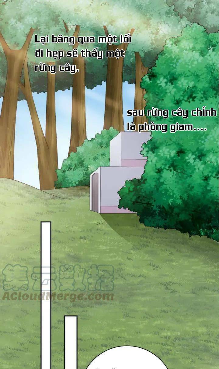 ngạo kiều vương gia huyên náo phi chapter 65 5