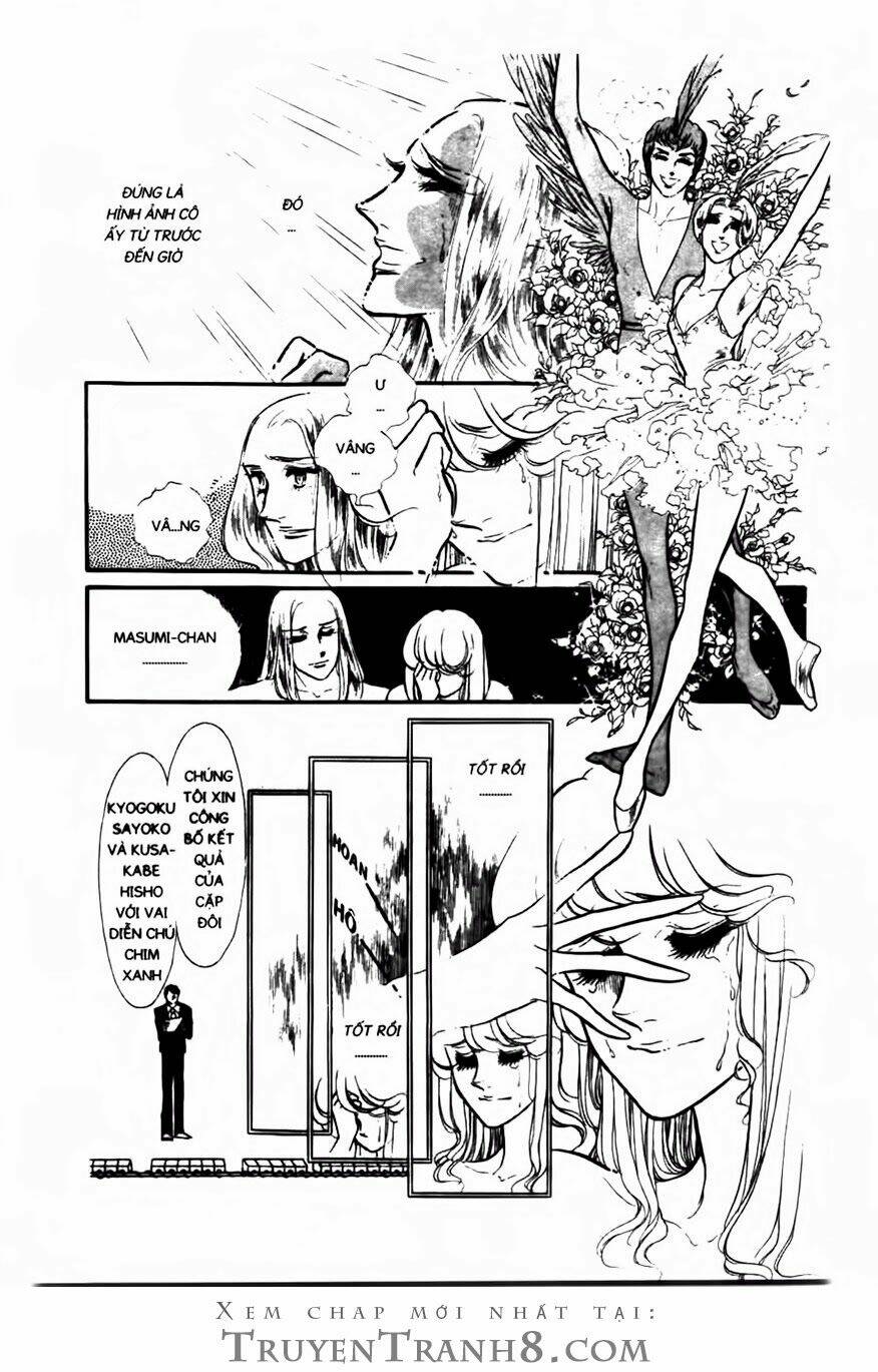 swan - vũ khúc thiên nga chapter 81 15