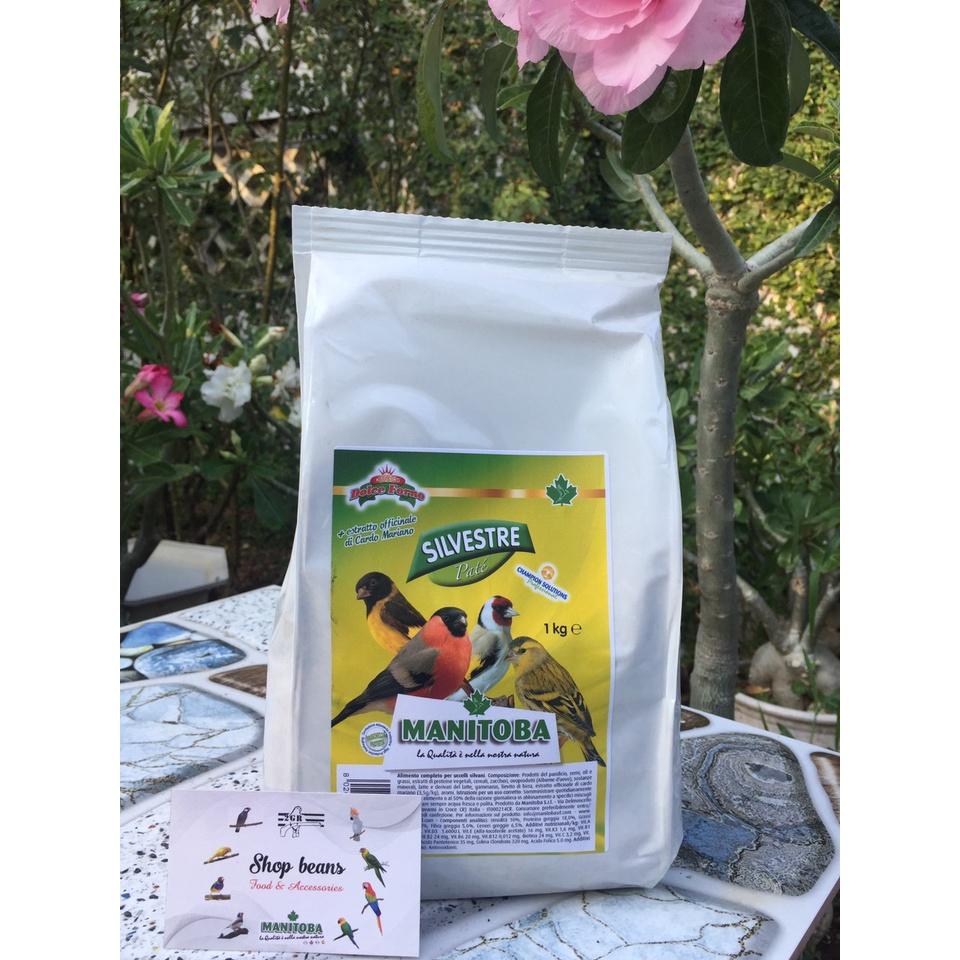 Cám trứng Silvestre manitoba cho chim thạch yến, siskin, gold finch,  finch, chim bảy màu, yến hót,