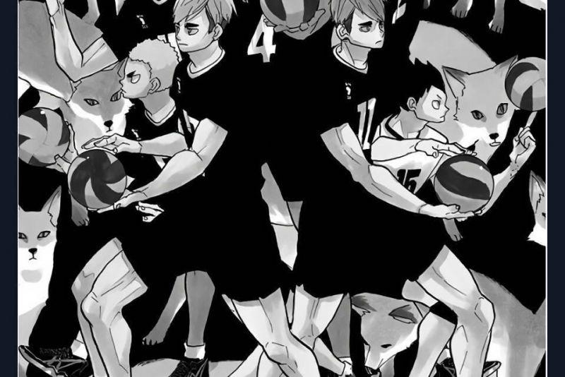 vua bóng chuyền chapter 272 2