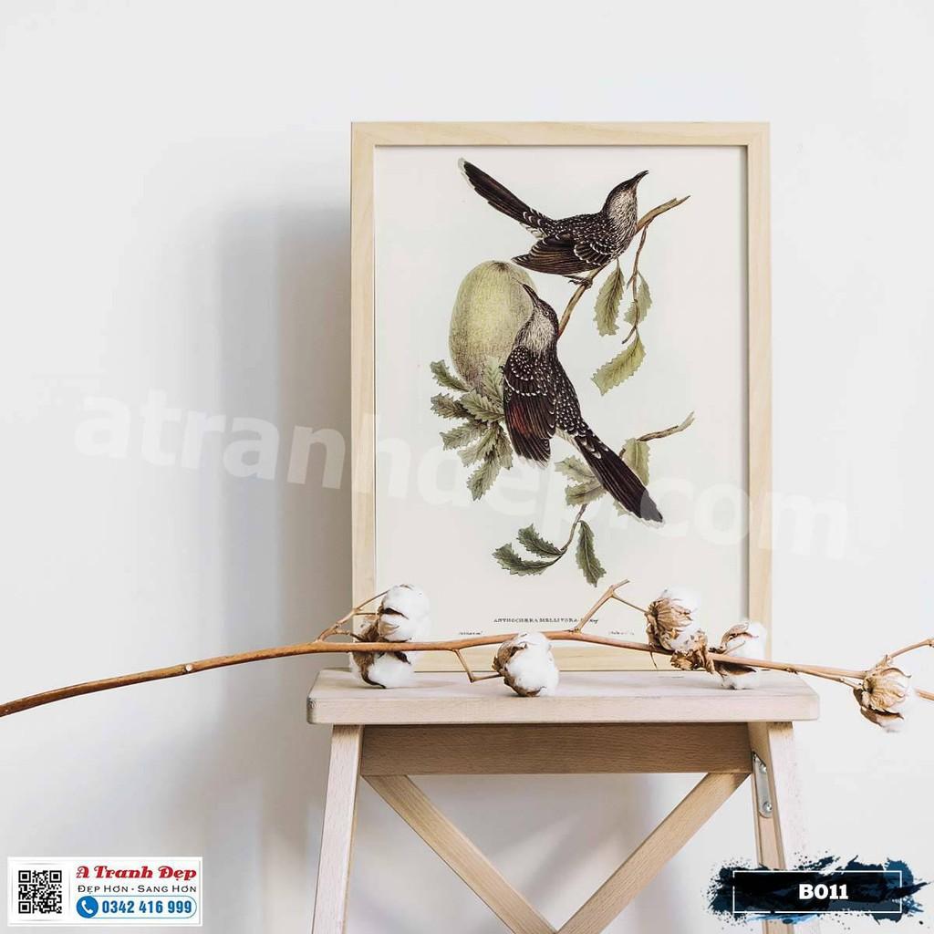 Tranh Canvas minh họa loài chim chích phong cách cổ điển - B011