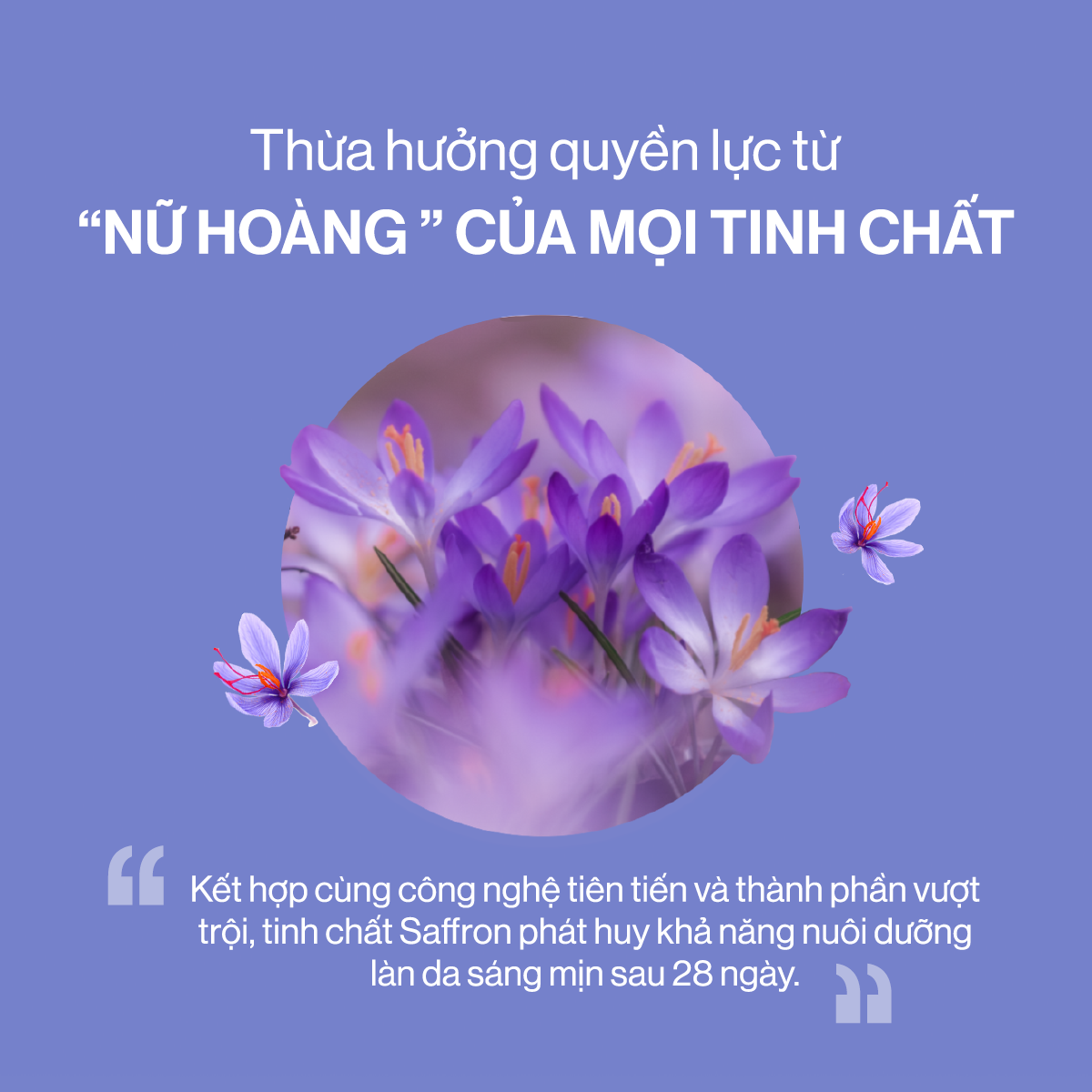 Bột Uống Collagen Cao Cấp Kết Hợp Saffron -