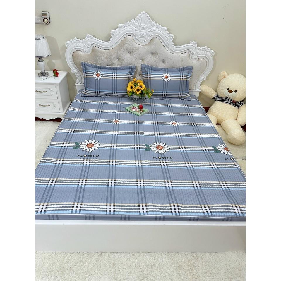 Bộ ga gối cotton trần bông Hàn các kích thước