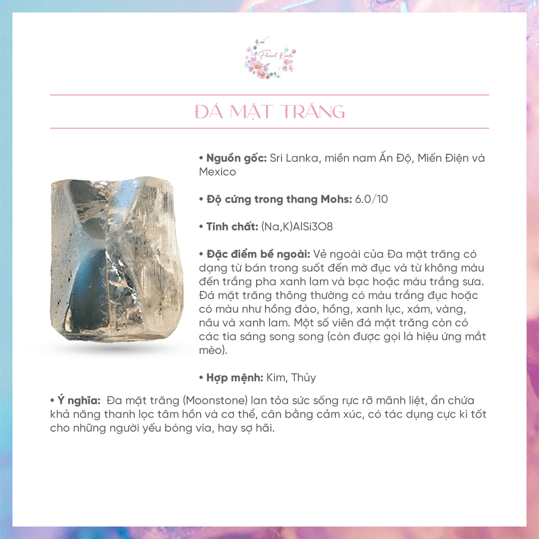Vòng Đeo Tay Singapore Đá Mặt Trăng Floral Knots Chất Liệu Vàng Hồng Starry Twin Star