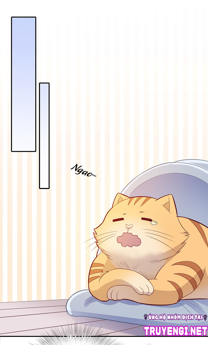 cái thùng cơm sát vách chapter 71 15