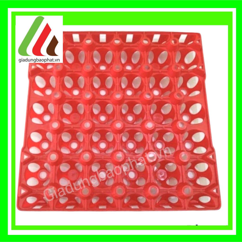Vỉ trứng nhựa dày dặn chính hãng An Thiên kích thước 31*31cm - vỉ 30 trứng - vỉ trứng trang trại - vỉ trứng đại lý